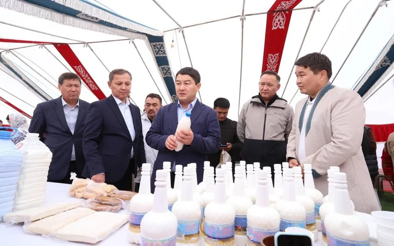 Ақ Mая fest: как шубат может стать новым брендом Мангистау