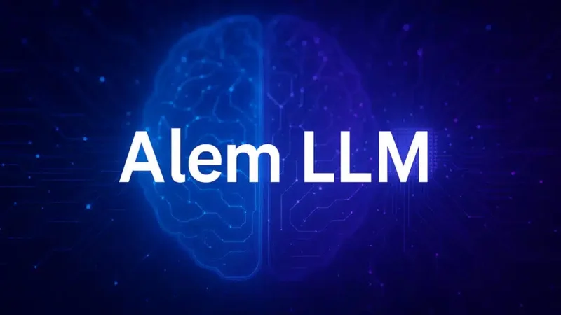AlemLLM