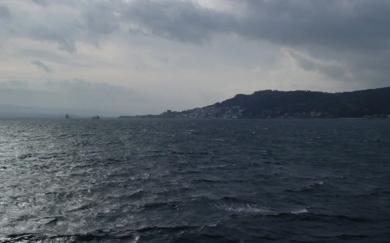 Турция временно закрыла движение через пролив Дарданеллы из-за лесных пожаров