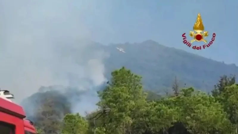 В Италии горит национальный парк Везувий: огонь виден из Неаполя