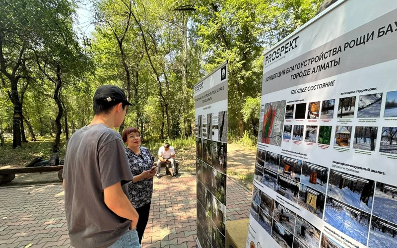 В Роще Баума представили проект благоустройства природного памятника