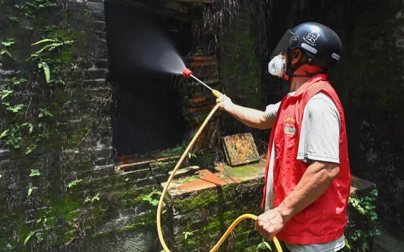 чикунгунья