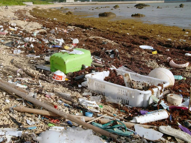 Asia's plastic leakage to environment to rise 70% by 2050: OECD