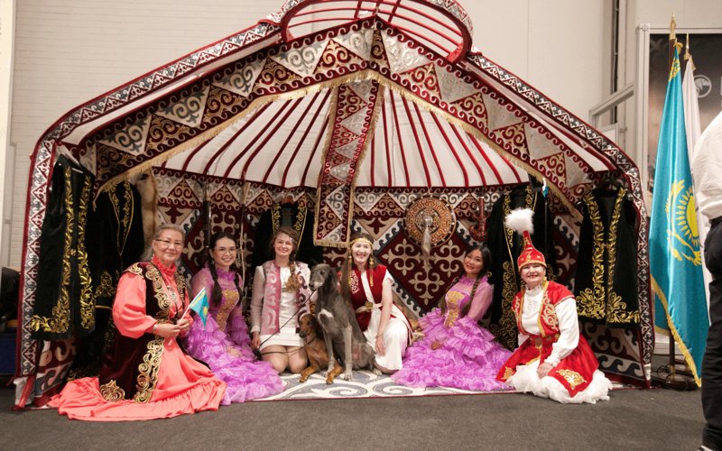 Казахский тазы покорил мировых экспертов на World Dog Show 2025