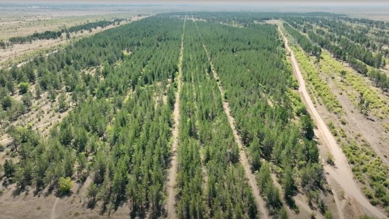«Таза қала» Шахтинскте: Жалғыз саябақ, ескірген үйлер мен ойын алаңдары «Таза қала» Шахтинскте: Жалғыз саябақ, ескірген үйлер мен ойын алаңдары