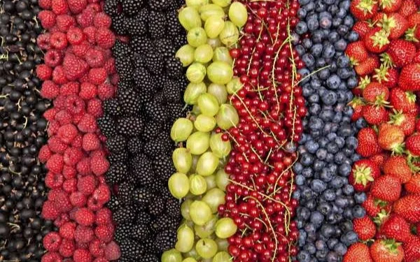 мева ва резаворлар