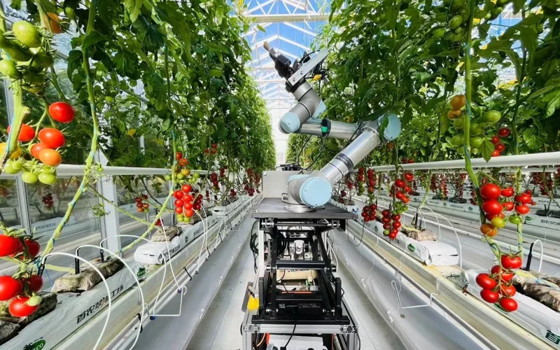 Первый в мире ИИ-робот для селекции разработан в Китае