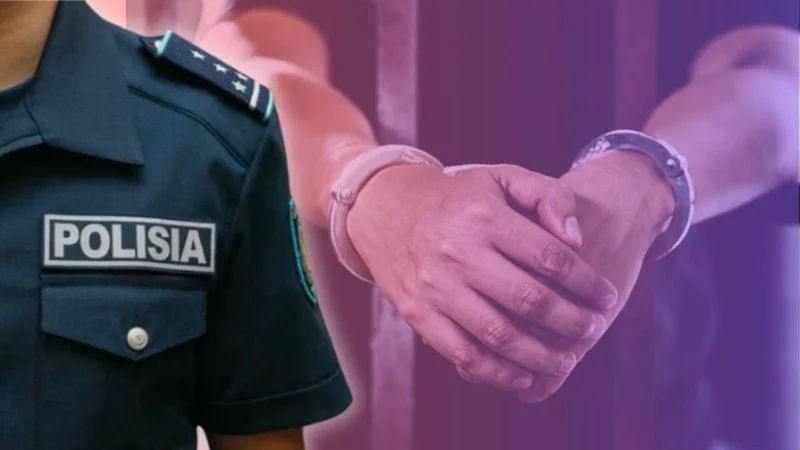 полиция, МВД, арест, полицейские