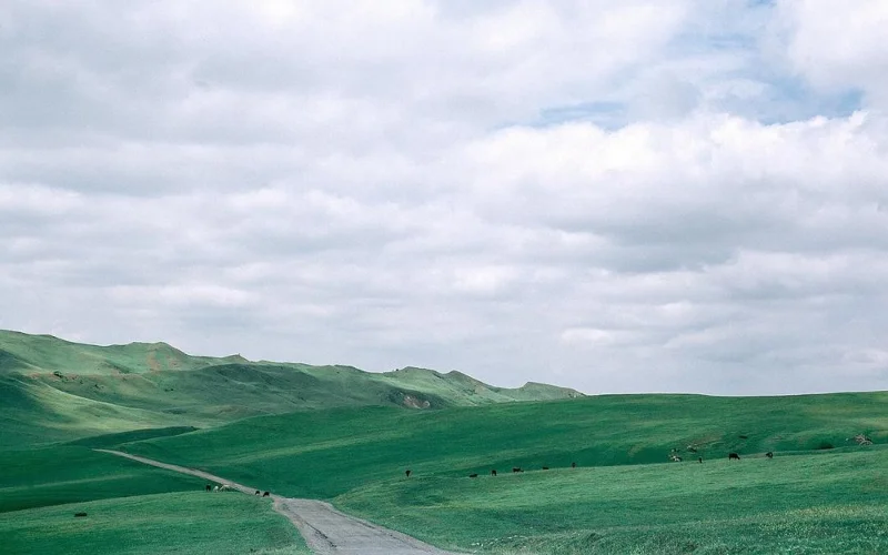 возврат сельхозземель