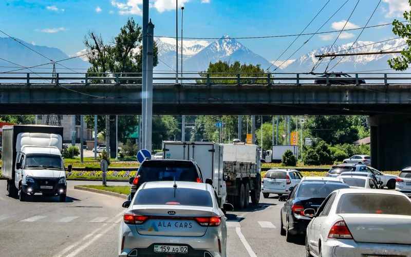 Almaty oblysynda tegin 10 sotyq jerge qansha adam kezekte tur