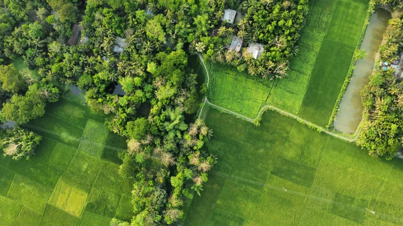 земельный участок