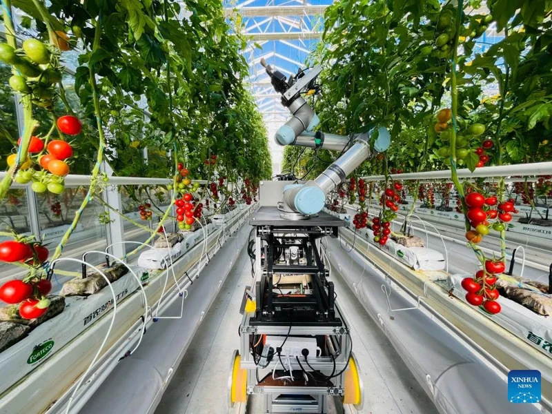Chinese scientists develop world's first full-process intelligent breeding robot