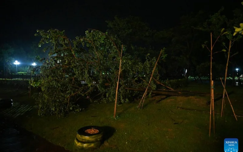 Typhoon Podul makes 2nd landfall in east China's Fujian