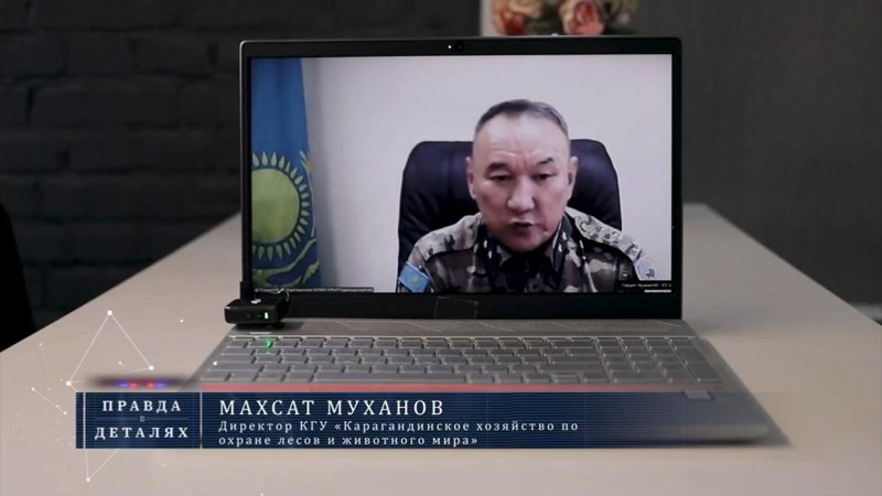 От охоты на браконьеров до изменений в законе: расследование «Правды в деталях»