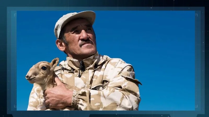 От охоты на браконьеров до изменений в законе: расследование «Правды в деталях»