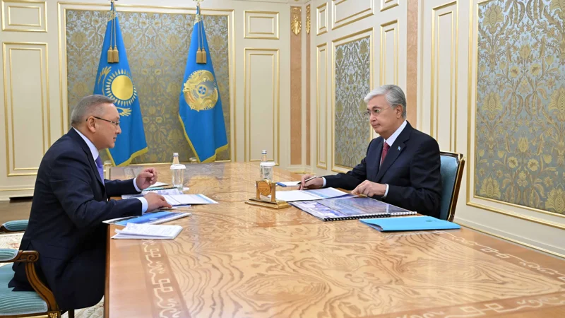 President Tokayev briefed on socio-economic development of Zhetysu region 
