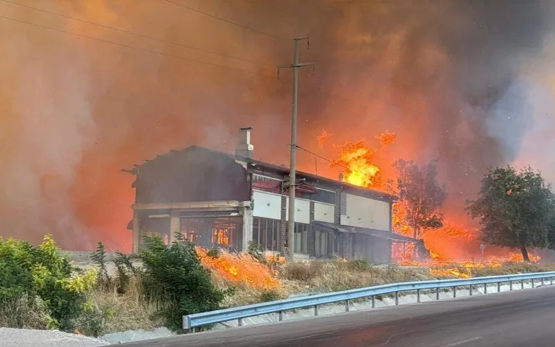 Турция охвачена лесными пожарами: есть жертвы, продолжается борьба с огнем