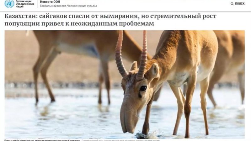 От охоты на браконьеров до изменений в законе: расследование «Правды в деталях»