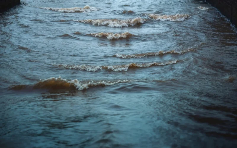 сув тошқини