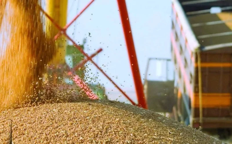 1.2 million tons of grain threshed in Kazakhstan since early Aug