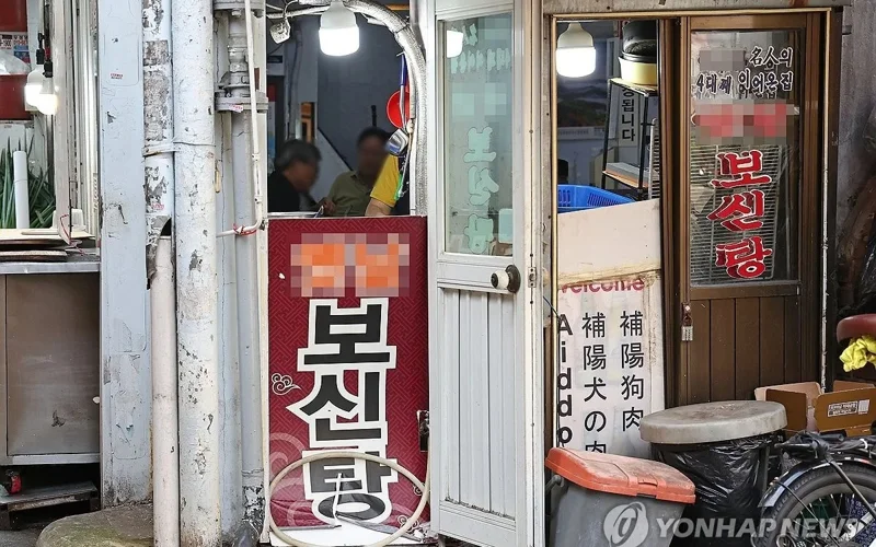 Жанубий Кореяда ит гўшти тақиқланди: фермаларнинг 70 фоизи ёпилди