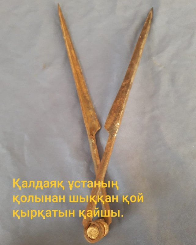 Шәмші Қалдаяқ музей-үйі