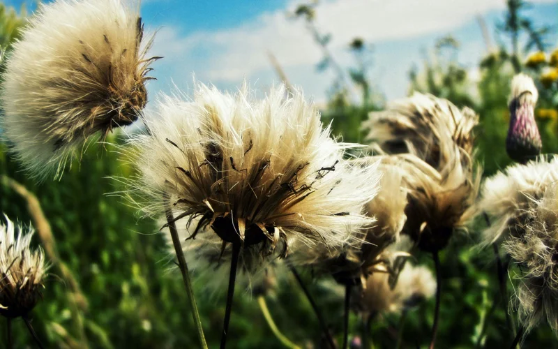 люди, дождь, погода, ауа райы, жанбыр, адамдар
