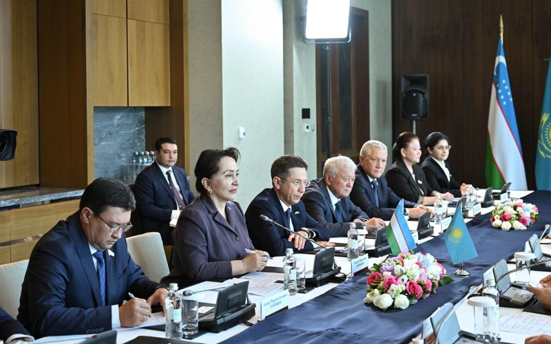 Мәжіліс спикері Өзбекстанның Олий Мәжіліс Сенатының төрағасы Танзила Нарбаевамен кездесті