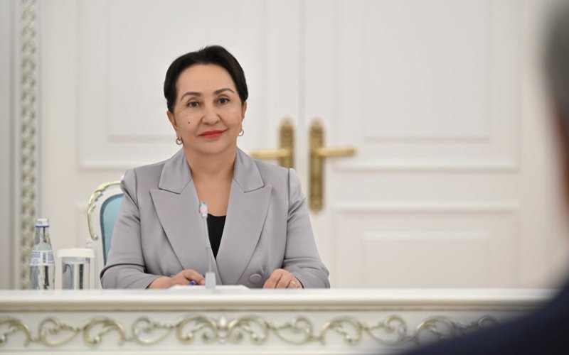 Глава государства принял председателя Сената Олий Мажлиса Узбекистана Танзилу Нарбаеву Глава государства принял председателя Сената Олий Мажлиса Узбекистана Танзилу Нарбаеву