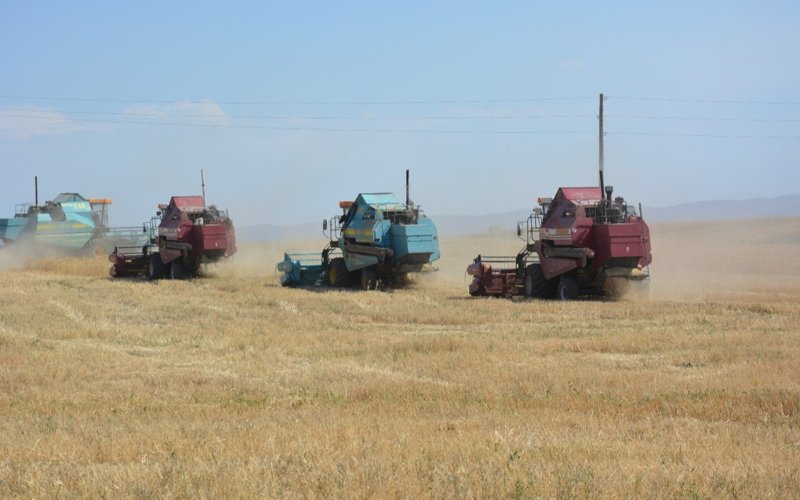 уборка урожая в Жамбылской области п