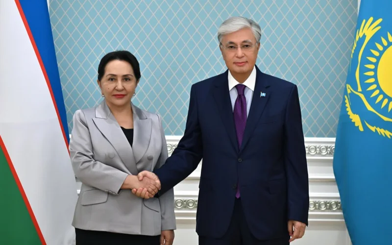 Глава государства принял председателя Сената Олий Мажлиса Узбекистана Танзилу Нарбаеву