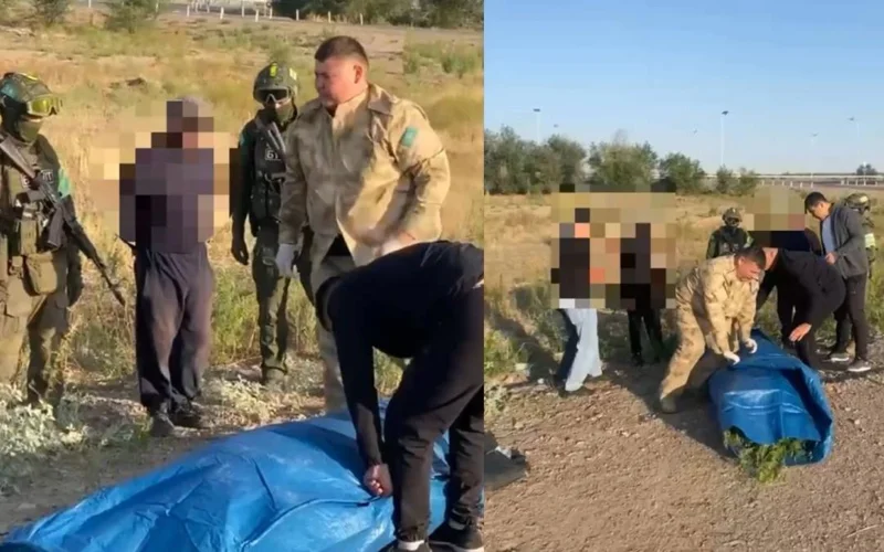 Мужчину с 32 кг марихуаны задержали в Жамбылской области