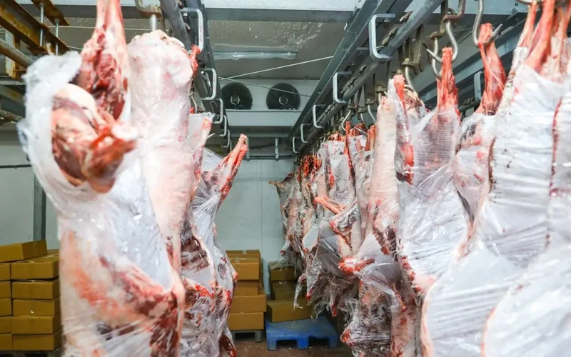 Как реализуется мясо сайгаков в ЗКО