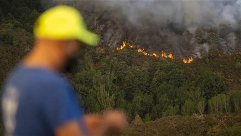 Nearly 865,000 acres burned in Spain over past 13 days amid raging wildfires