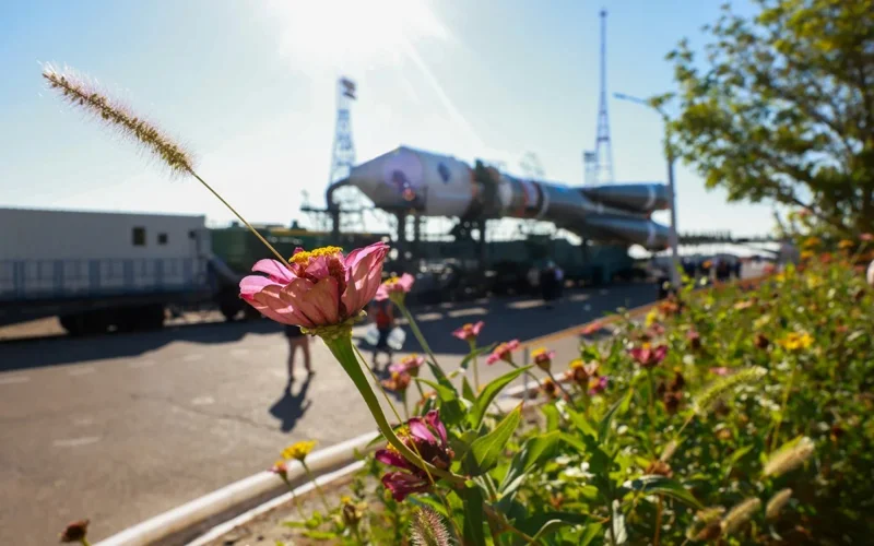 Bion-M No2 satellite to deliver mice, flies and mushrooms to space