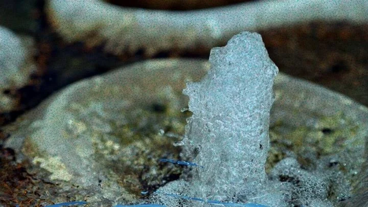 месторождение воды «Кокжиде»