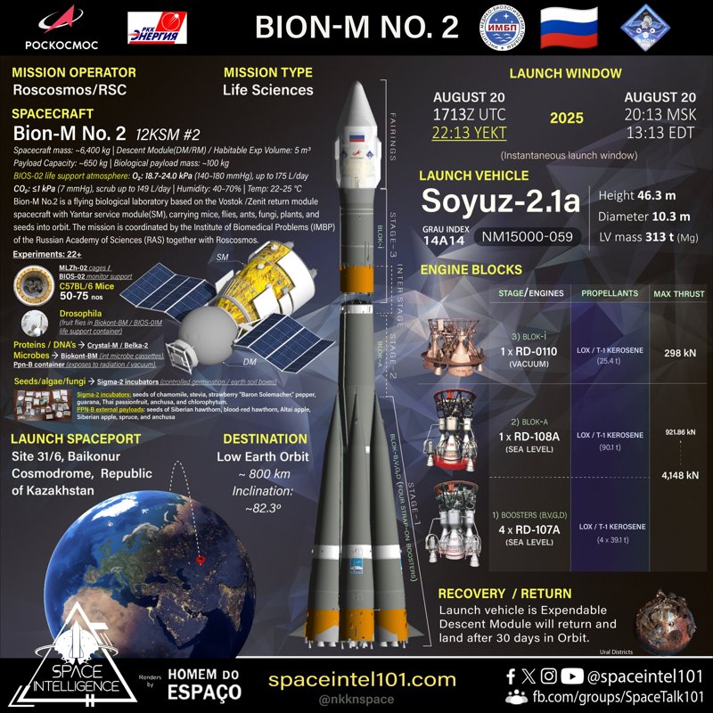 Russian Bion-M No2 satellite to deliver mice, flies and mushrooms to space