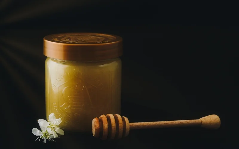 Венгрия Қазақстанда бал өндіретін зауыт салмақшы