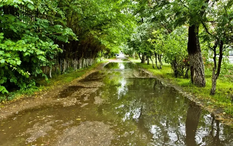 ливень, лужи
