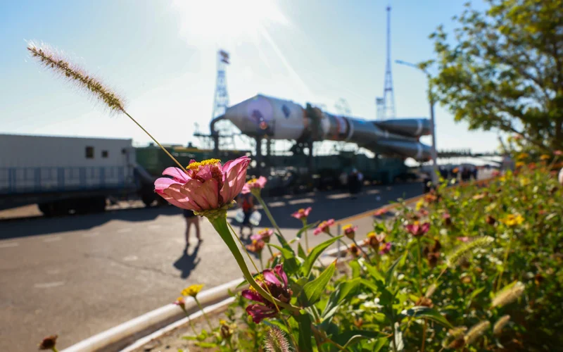 Мыши, мухи, грибы отправятся сегодня в космос с Байконура