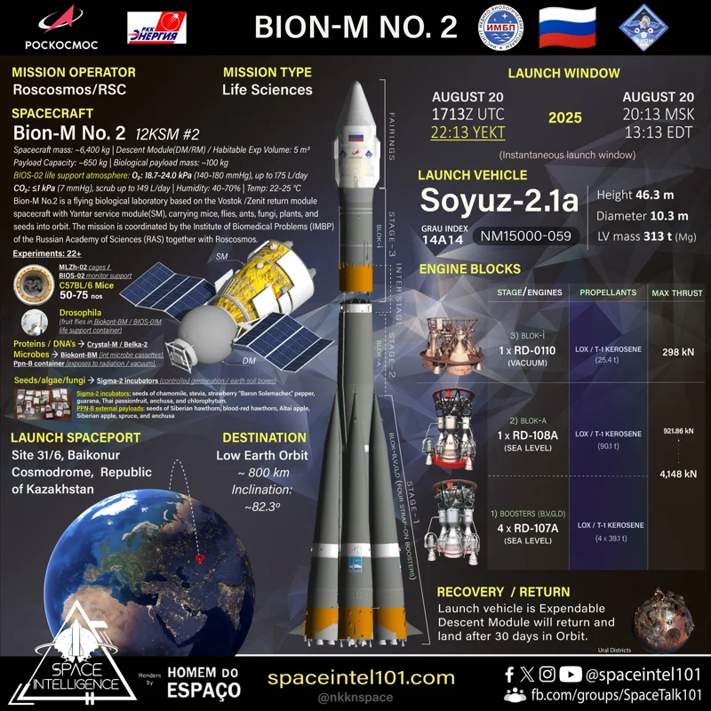 Russian Bion-M No2 satellite to deliver mice, flies and mushrooms to space