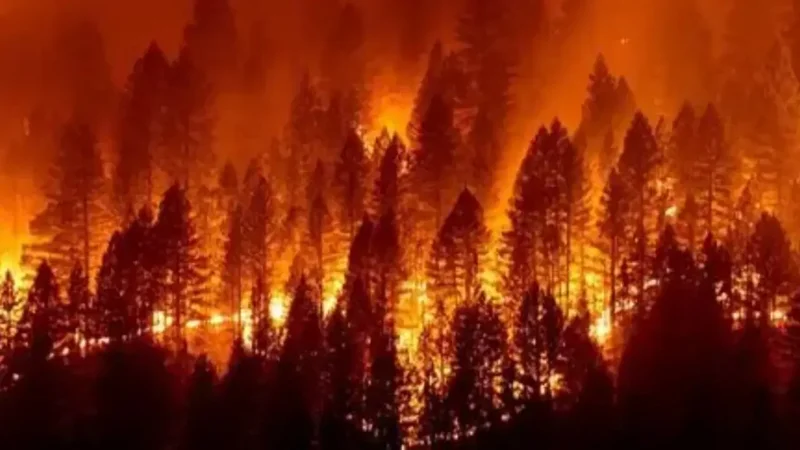 Волна пожаров нанесла ущерб сельскому хозяйству Испании на сумму 600 млн евро