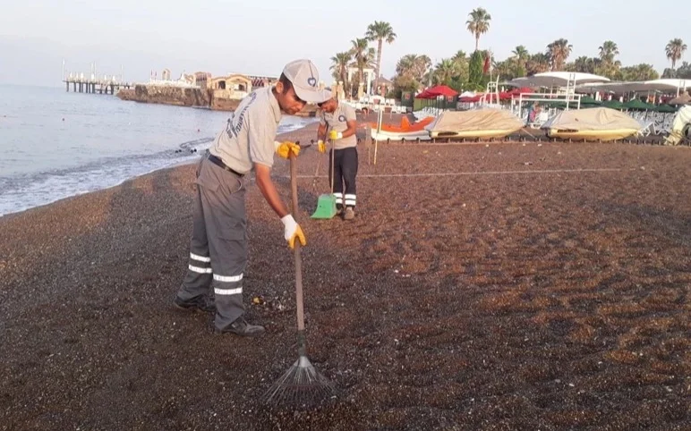 Курорты под угрозой: загрязнение моря у Аланьи и Антальи достигло опасного уровня