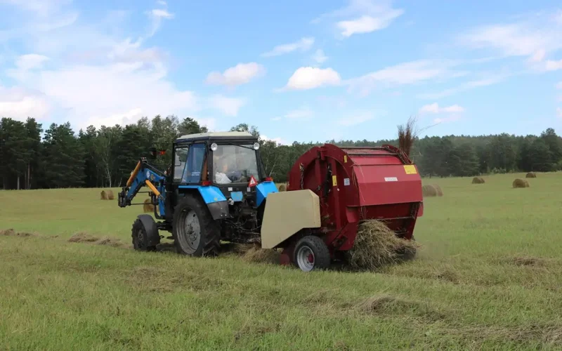 В двух районах ЗКО низкая урожайность трав