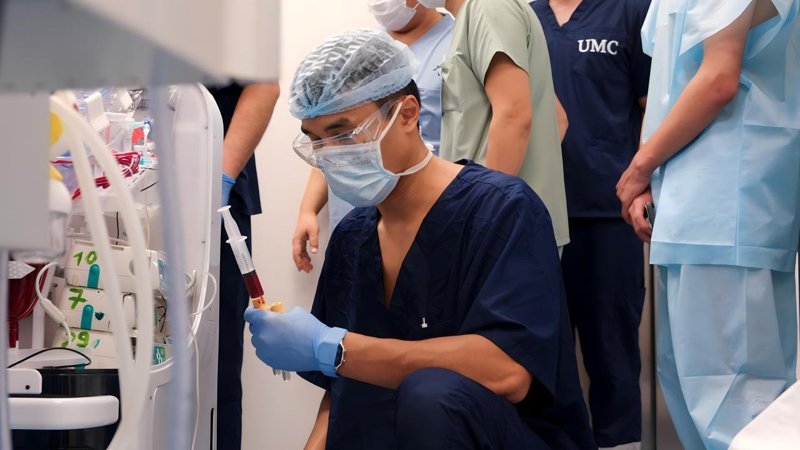 Surgery