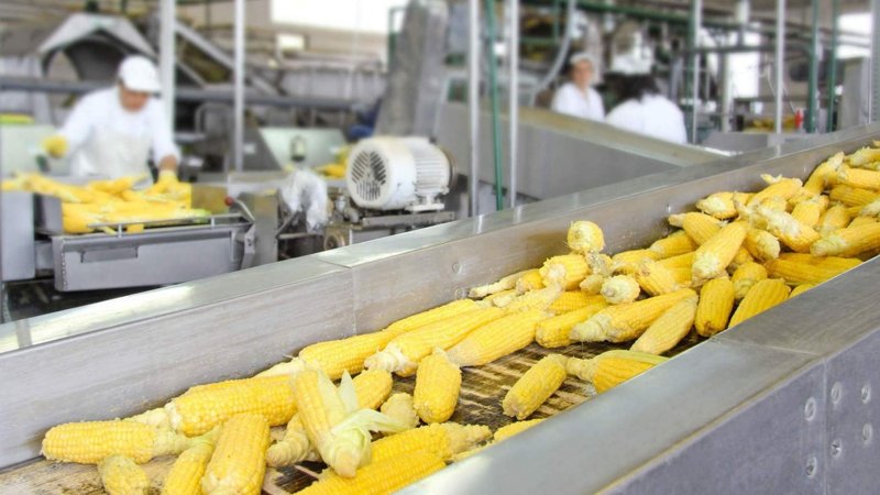 Казахстан увеличит объемы глубокой переработки зерновых в пять раз