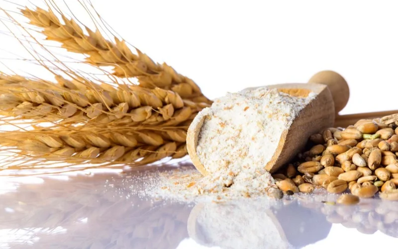 Казахстан увеличит объемы глубокой переработки зерновых в пять раз