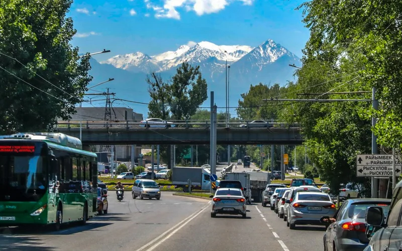 В Алматы обсуждают новые экологические правила — что ждет водителей и шашлычные