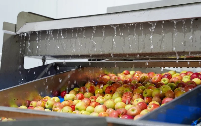 Казахстан увеличит объемы глубокой переработки зерновых в пять раз