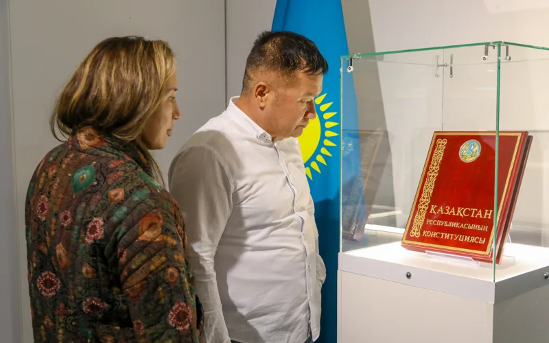 Конституция